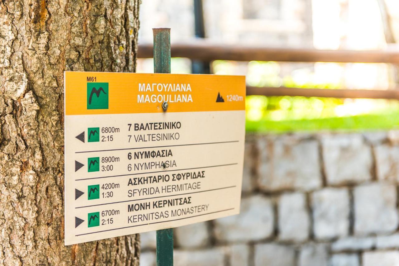 «Σκλάβας Χνάρι» Παραδοσιακός Ξενώνας Apartment Magouliana Bagian luar foto