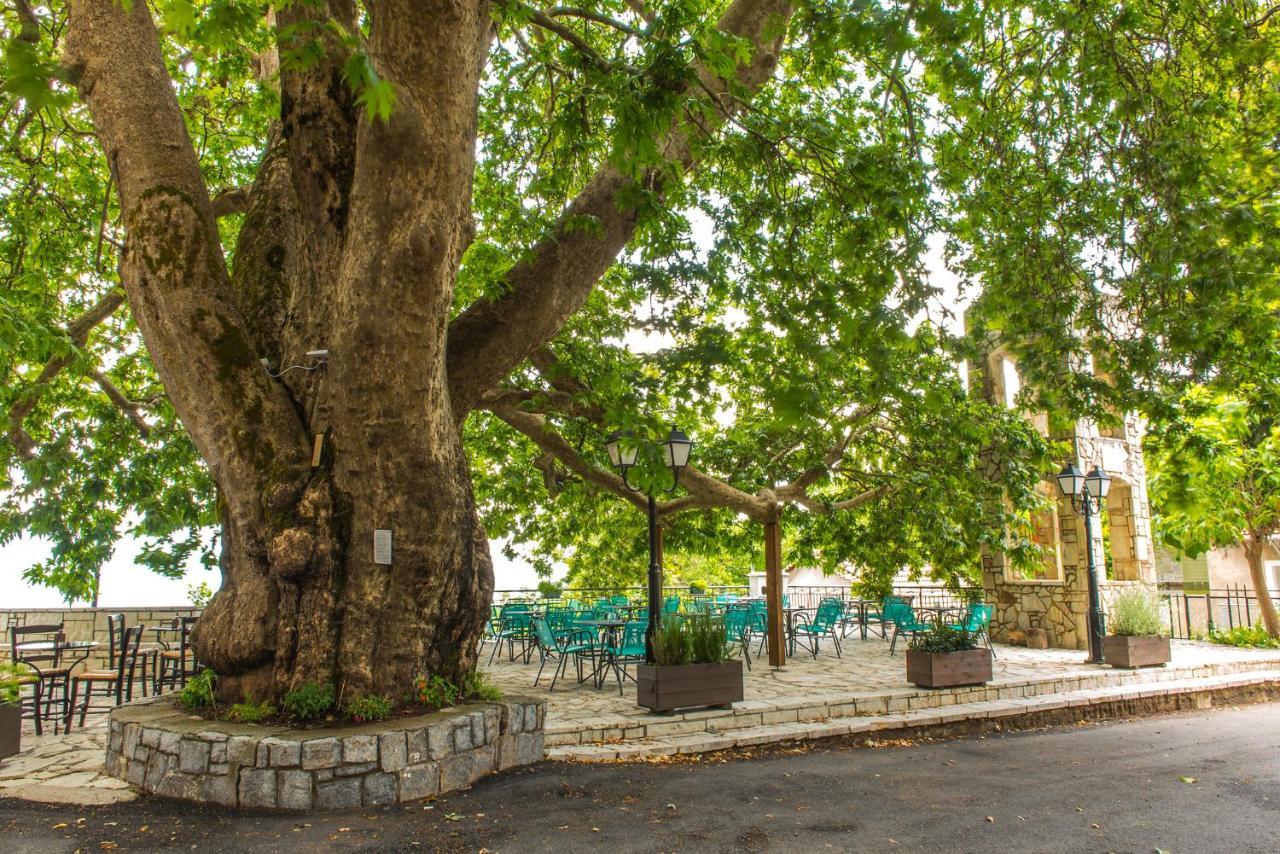 «Σκλάβας Χνάρι» Παραδοσιακός Ξενώνας Apartment Magouliana Bagian luar foto
